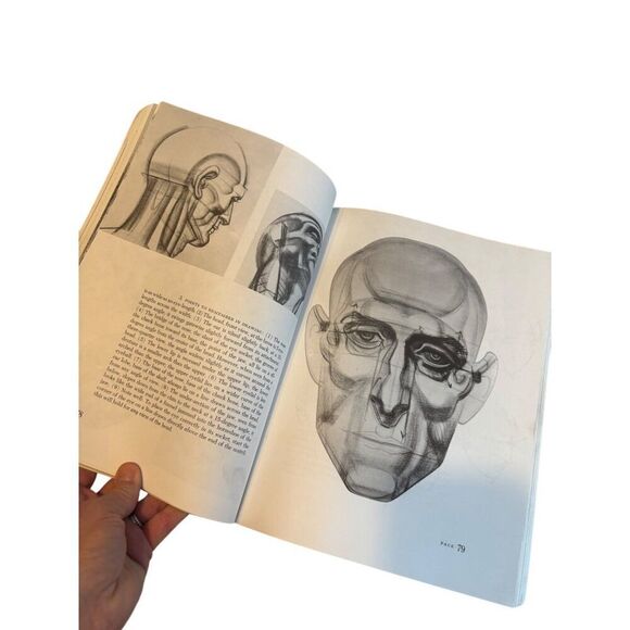 Dynamic Anatomy By Burne Hogarth Art Instruction Book - Picture 2 of 8